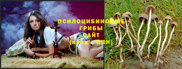 амф Богородск