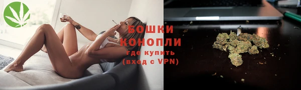 амф Богородск