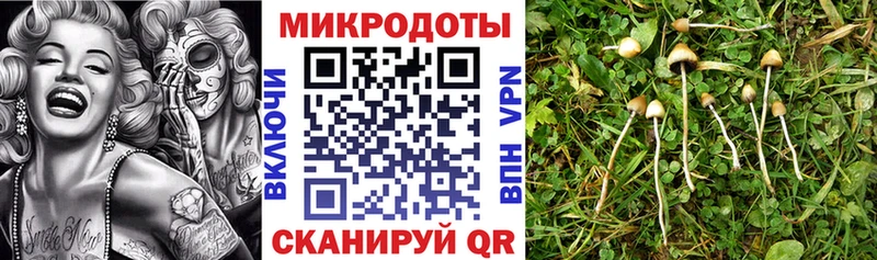 Галлюциногенные грибы Cubensis  купить наркотик  Наро-Фоминск 